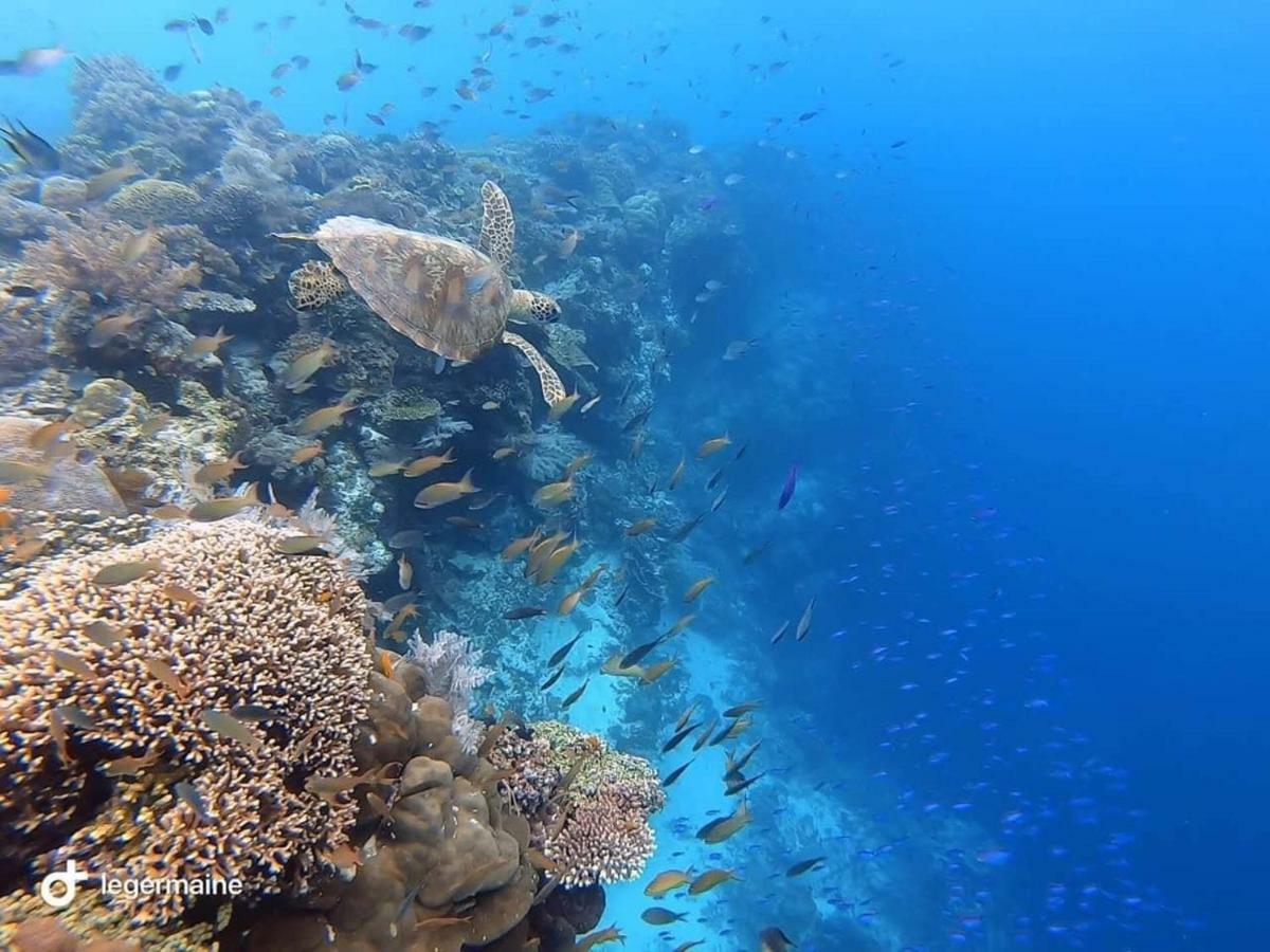 منتجع ألميرا دايفينج Tangnan المظهر الخارجي الصورة